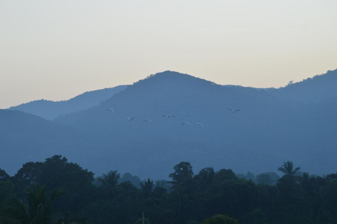 Apartamento Ridge Boundary View Dambulla Exterior foto