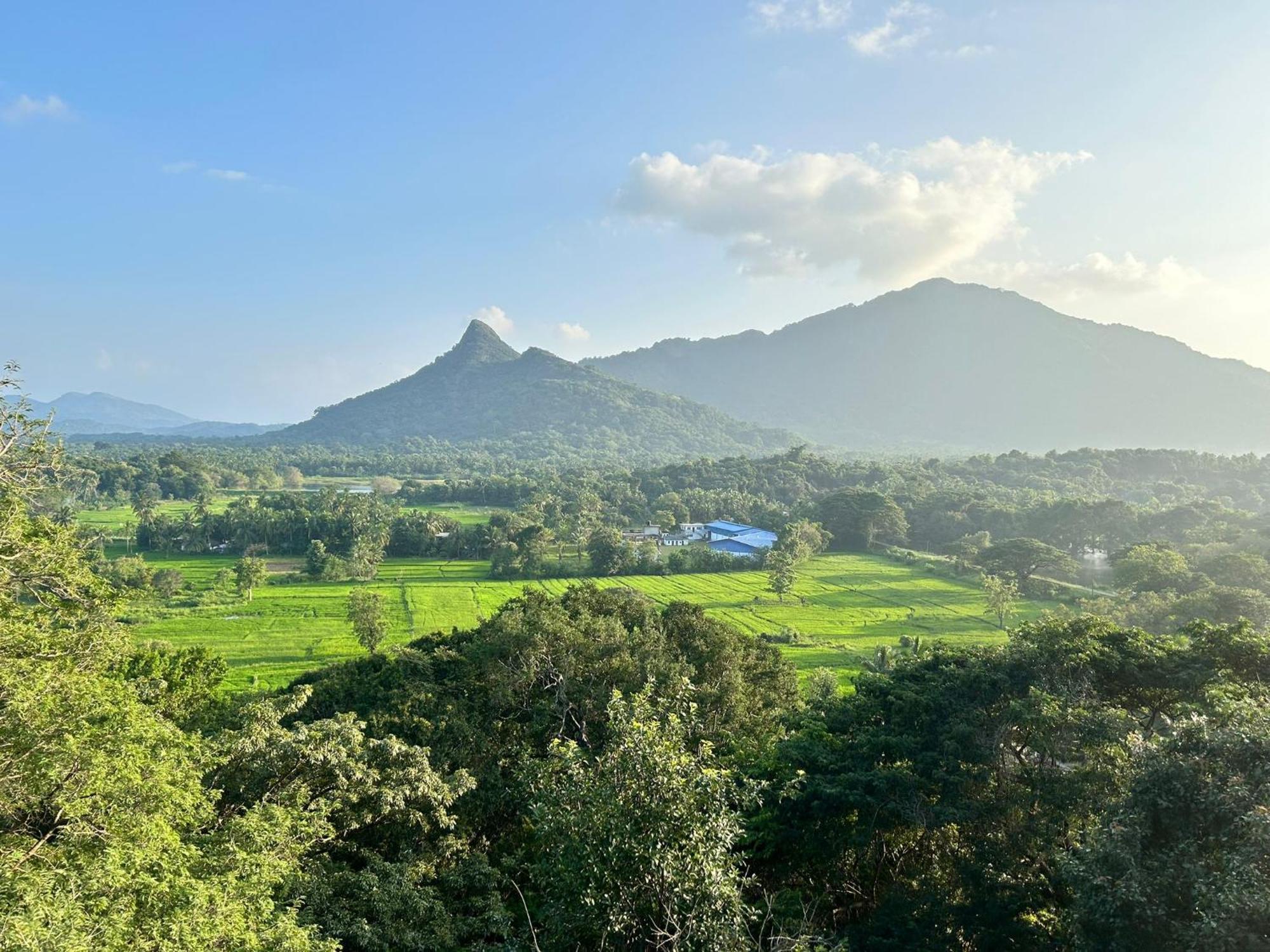 Apartamento Ridge Boundary View Dambulla Exterior foto