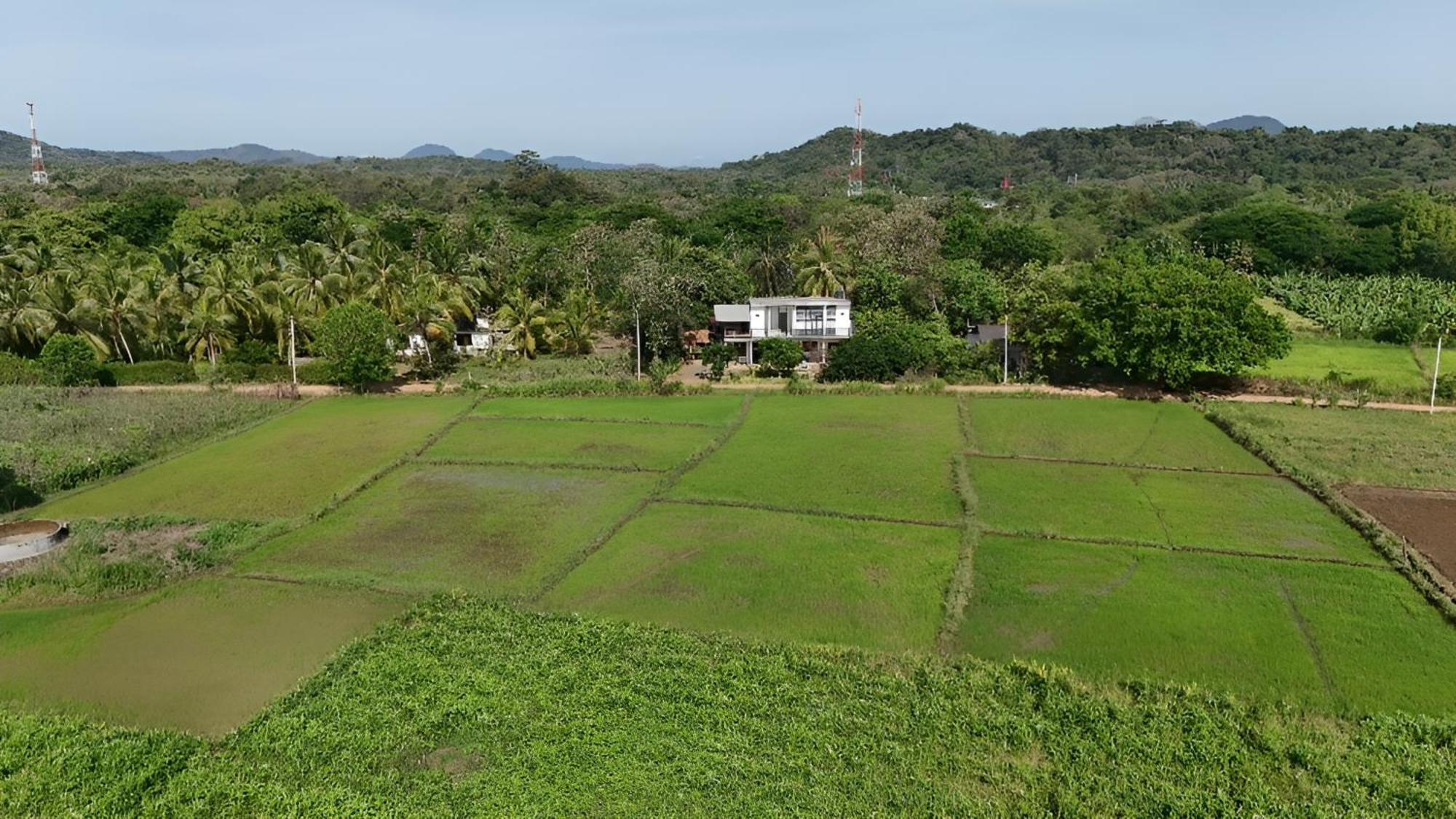 Apartamento Ridge Boundary View Dambulla Exterior foto